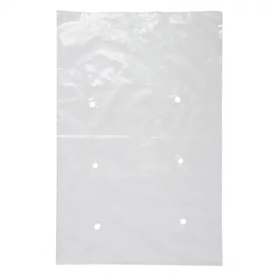 Hole Punch Clear Plastic Bag 1kg 180mm x 360mm - PACK=100 / BOX=3,000