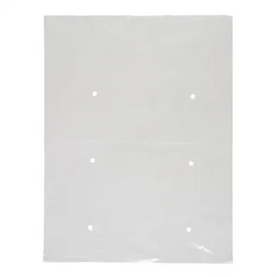 Hole Punch Clear Plastic Bag 560mm(L) x 205mm(W) - Box of 1,000