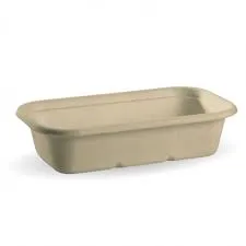 BioPak Bio Cane 1,000ml Natural Rectangular Takeaway Bases - SLEEVE=50 / BOX=500