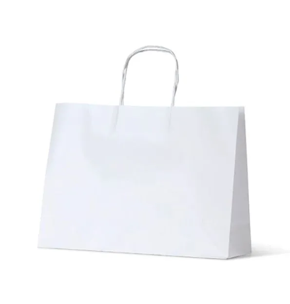 Small White Boutique Loop Handle Paper Carry Bags 250mm(L) x 350mm(W) + 110mm(G) - EACH=1 / BOX=250